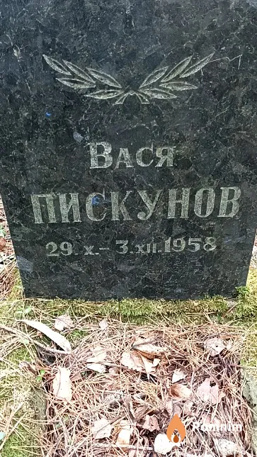 Пискунов Василий