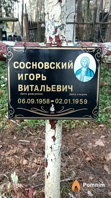 Сосновский Игорь Витальевич