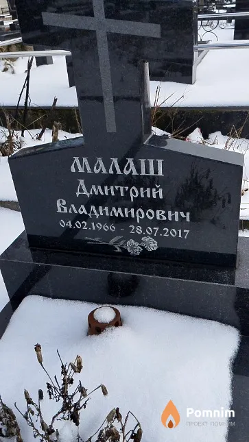 Малаш Дмитрий Владимирович