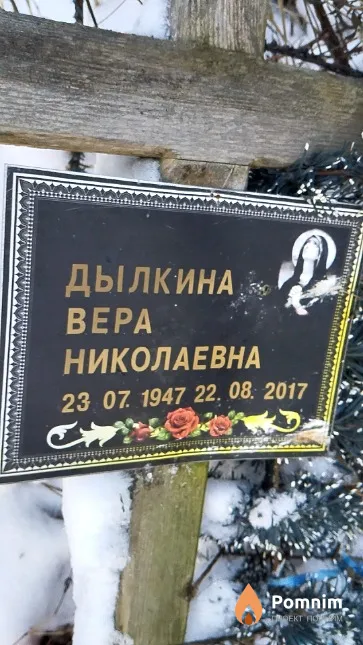 Дылкина Bepa Николаевна