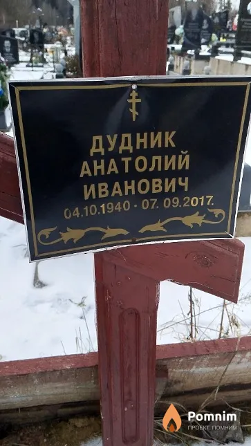 Дудник Анатолий Иванович