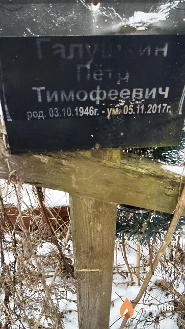 Галушкин Пётр Тимофеевич