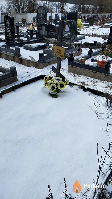 Колёса Василий Фёдорович