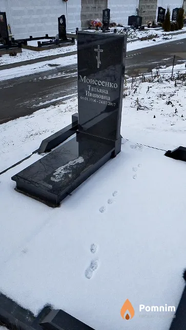 Моисеенко Татьяна Ивановна