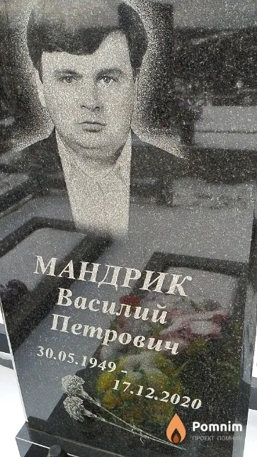 Мандрик Василий Петрович
