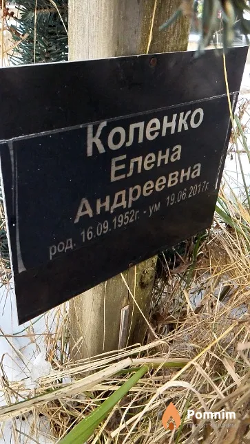Коленко Елена Андреевна