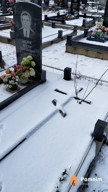 Баслык Виктор Николаевич