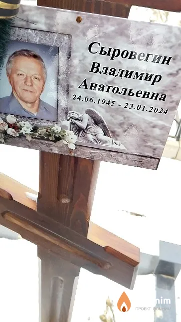 Сыровегин Владимир Анатольевна