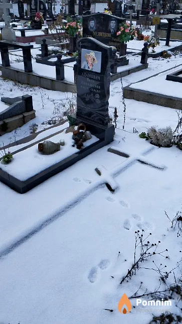 Адамович Bepa Николаевна