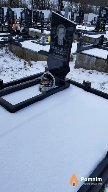 Железняков Владимир Борисович