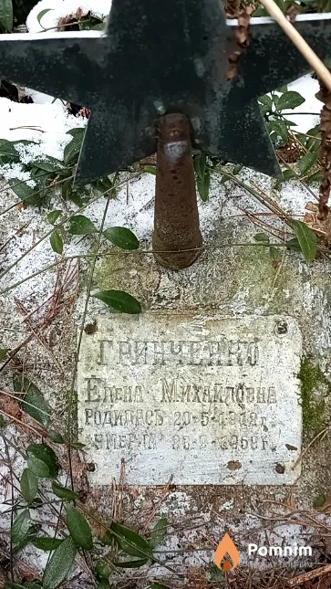 Гринченко Елена Михайловна