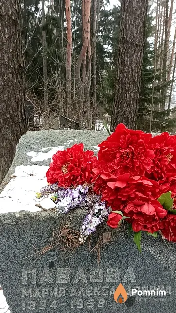 Павлова Мария Александровна