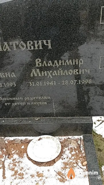 Игнатович Владимир Михайлович