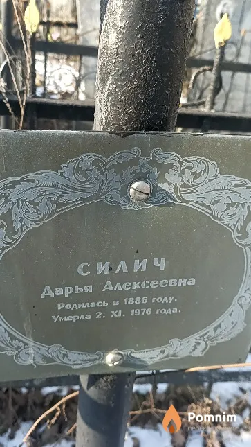 Силич Дарья Алексеевна