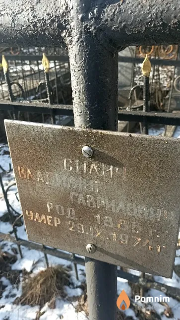 Силич Владимир Гаврилович