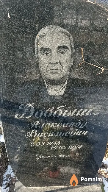 Довбыш Александр Васильевич