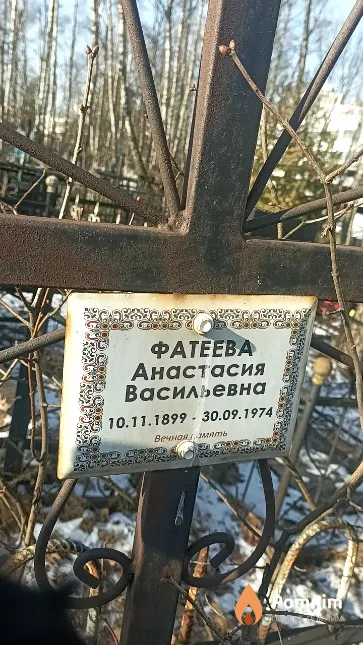 Фатеева Анастасия Васильевна