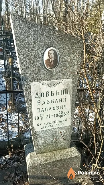 Довбыш Василий Павлович