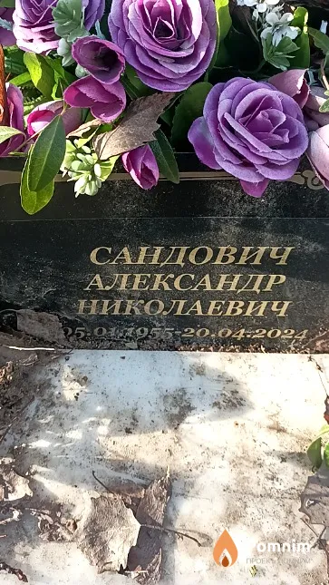 Сандович Александр Николаевич