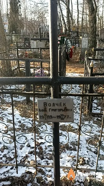 Волчек Анна Григорьевна