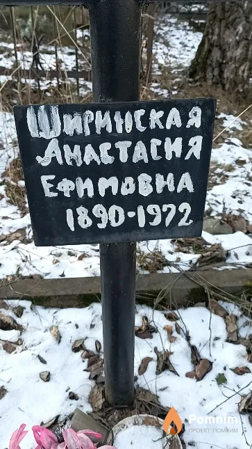 Ширинская Анастасия Ефимовна