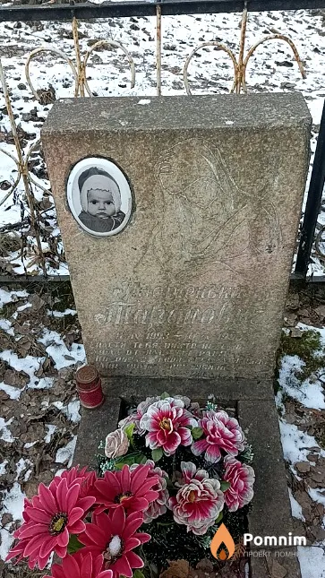 Таранович Анастасия