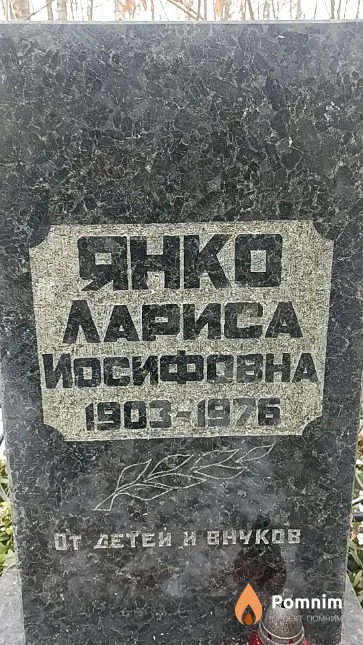Янко Лариса Иосифовна