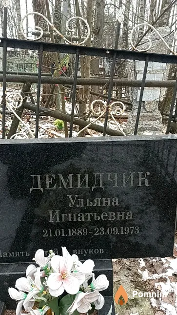 Демидчик Ульяна Игнатьевна