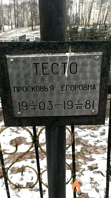 Тесто Просковья Егоровна