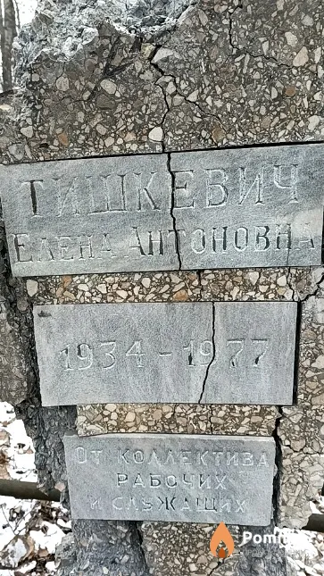 Тишкевич Елена Антоновна