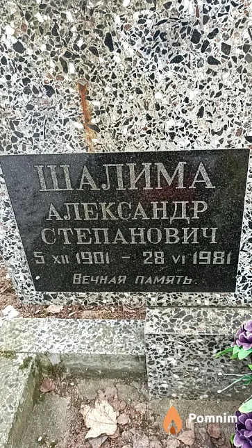 Шалима Александр Степанович