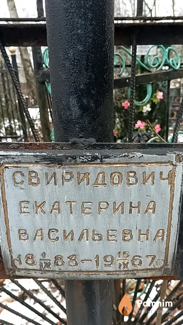 Свиридович Екатерина Васильевна