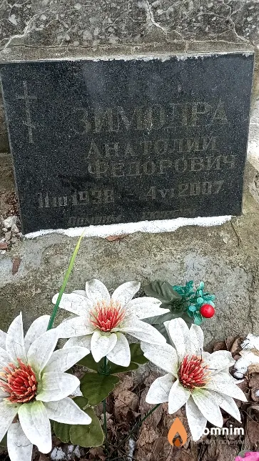 Зимодра Анатолий Федорович