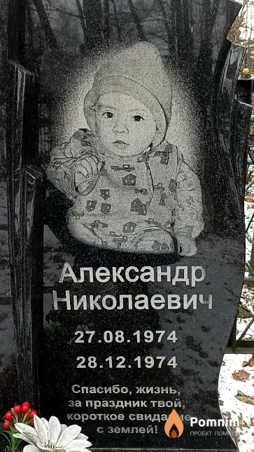 Водяницкий Александр Николаевич