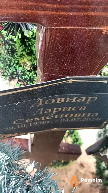 Довнар Лариса Семеновна
