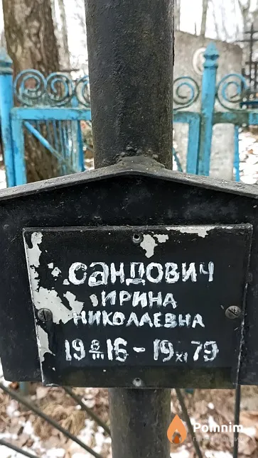 Сандович Ирина Николаевна