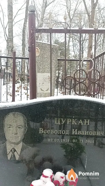 Цуркан Всеволод Иванович