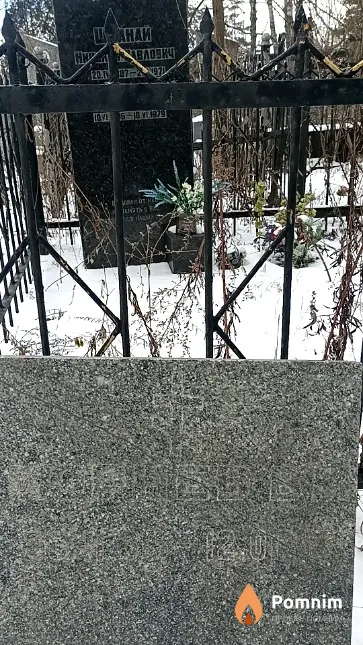 Корнев В. М.