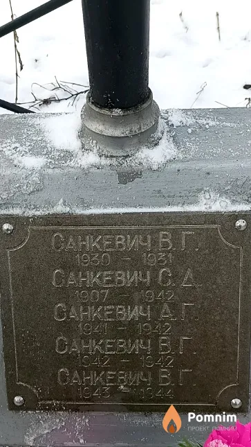 Санкевич В. Г.
