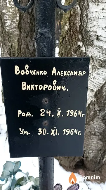Вовченко Александр Викторович