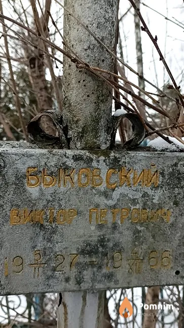Быковский Виктор Петрович