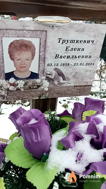 Трушкевич Елена Васильевна