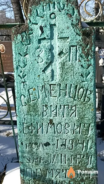 Семенцов Виктор Ефимович