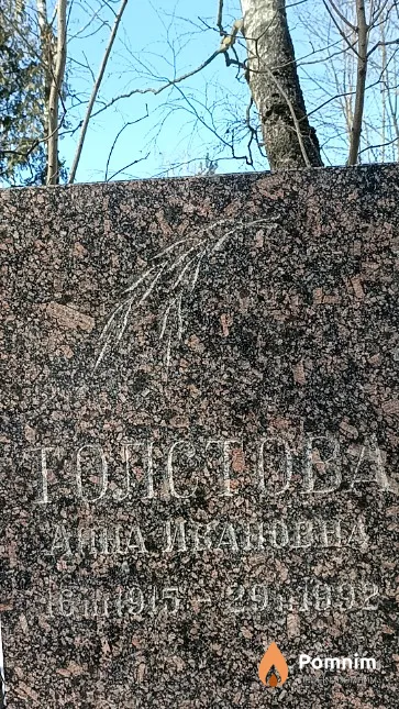 Толстова Анна Ивановна