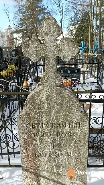 Свирская Н. П.
