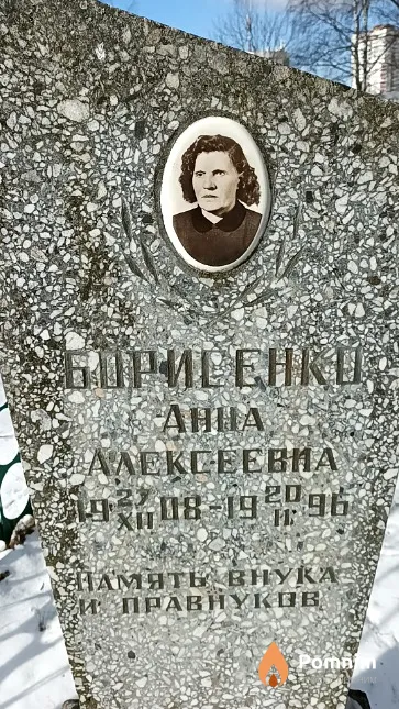 Борисенко Анна Алексеевна