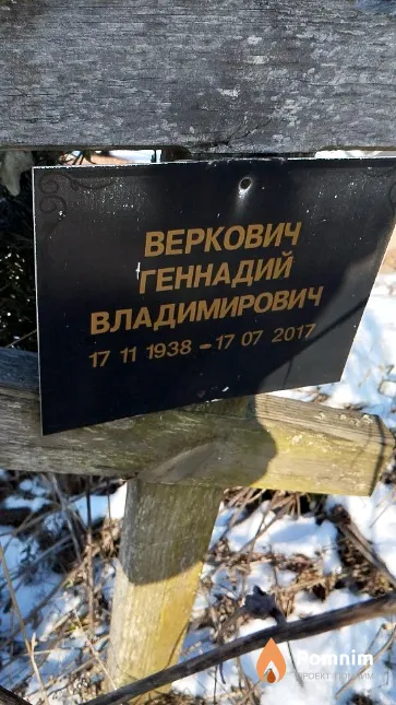 Веркович Геннадий Владимирович