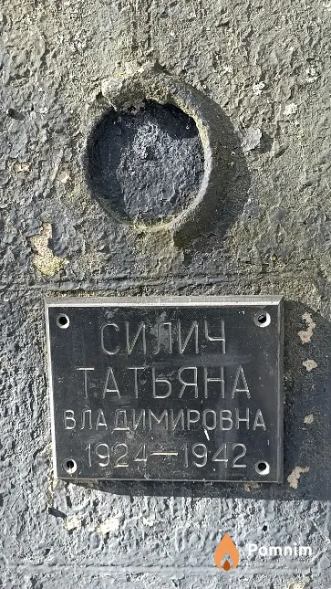 Силич Татьяна Владимировна