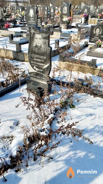 Старнаков Дмитрий Валентинович