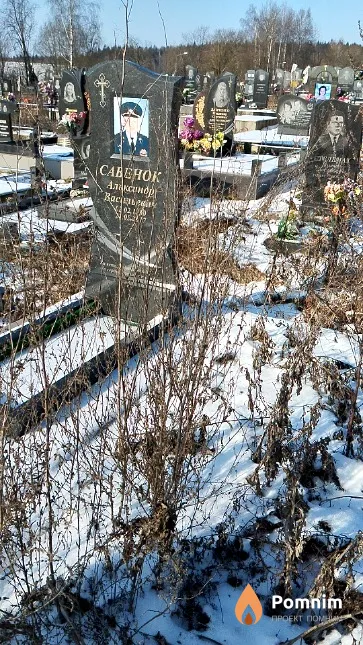 Савенок Александр Васильевич